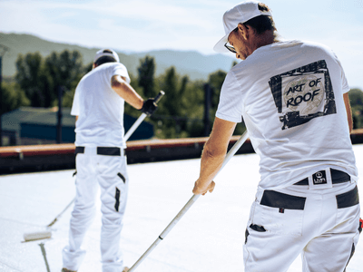 About Leaking Skylight Repair Pros Green Valley, AZ